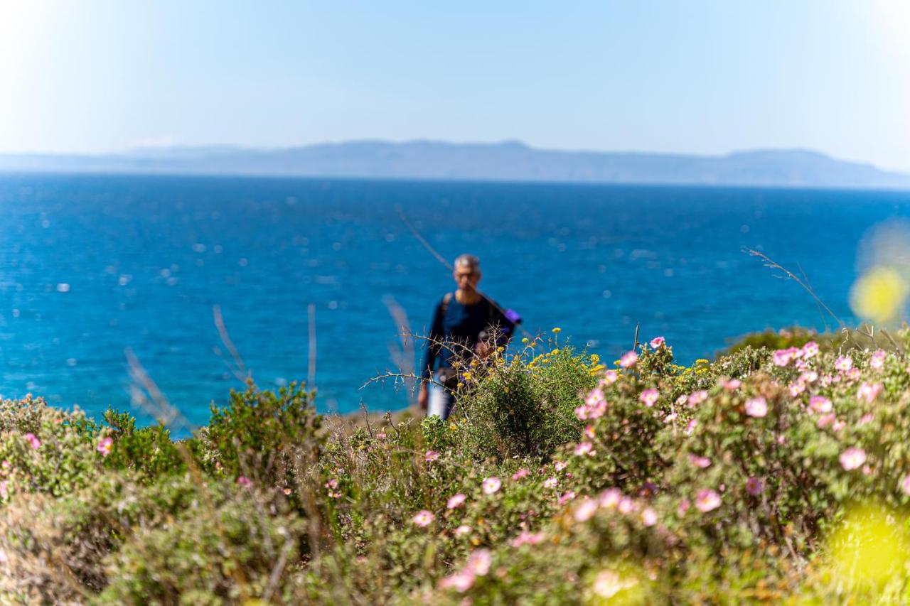 Cretan Life Holidays 호텔 코라파키아 외부 사진